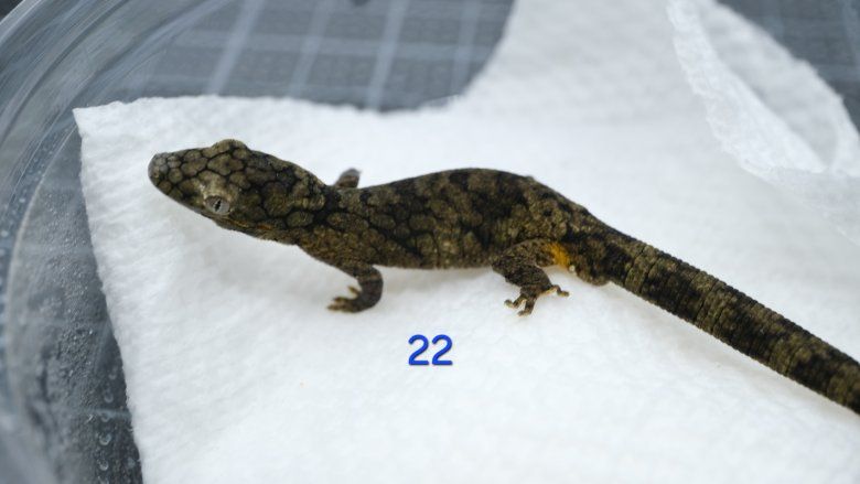 Main image 22
