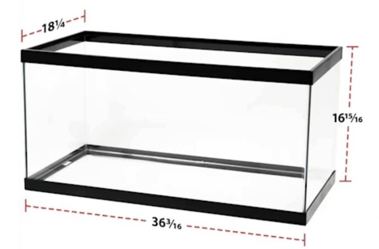 Main image 6