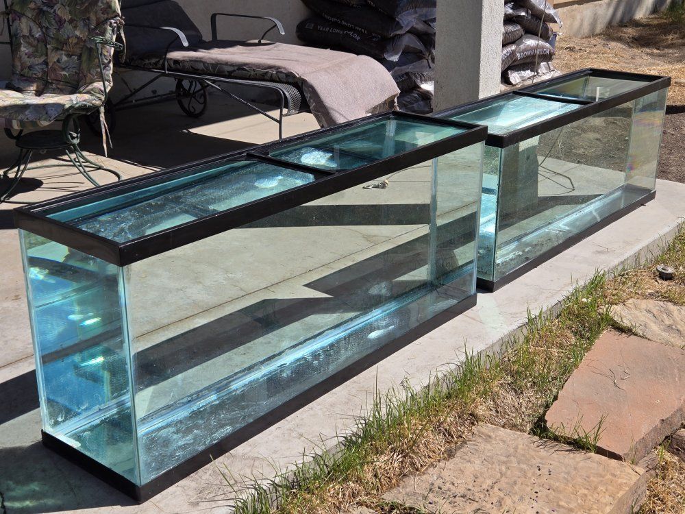 50g fish tank or aquarium