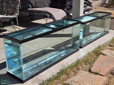 50g fish tank or aquarium