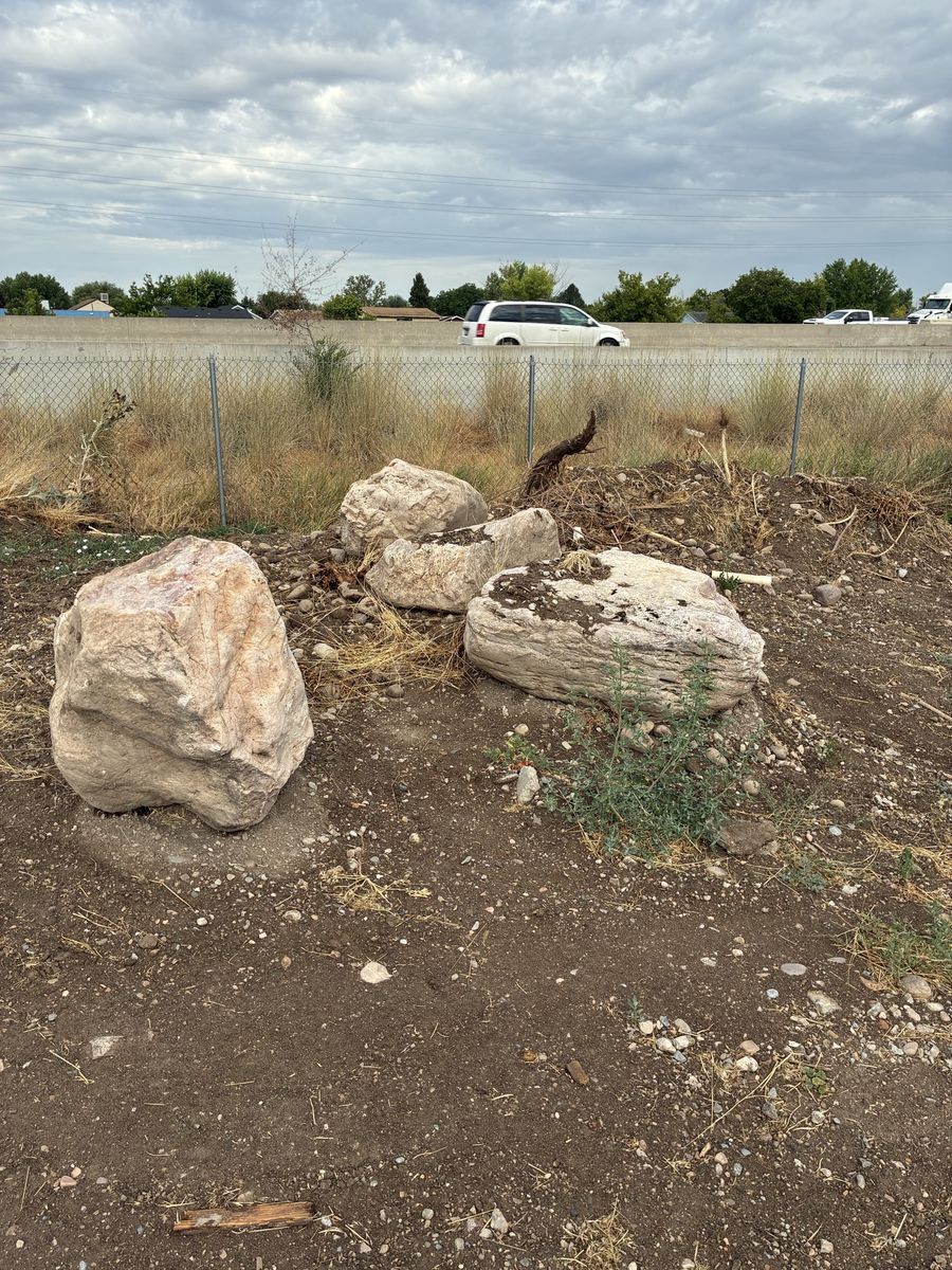 Large Landscape Boulders - Decorative Rock for Landscaping