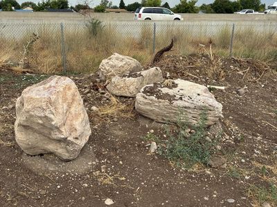 Large Landscape Boulders - Decorative Rock for Landscaping