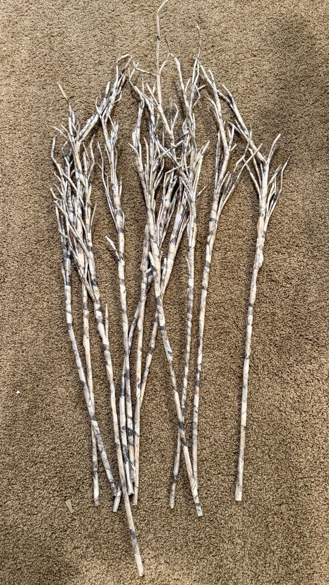 Crate and Barrell 11 Faux birch branches