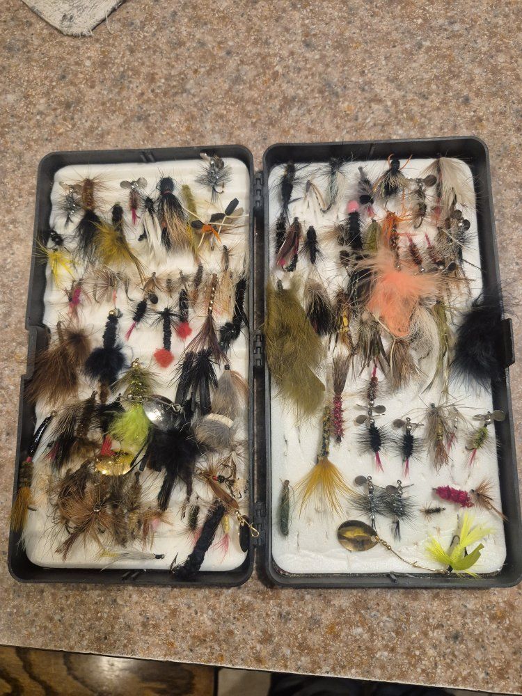 flys