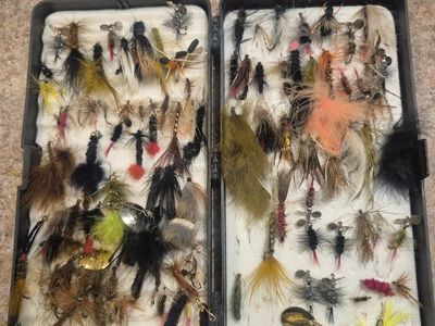 flys