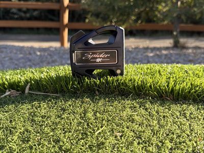 Taylormade Spider EX