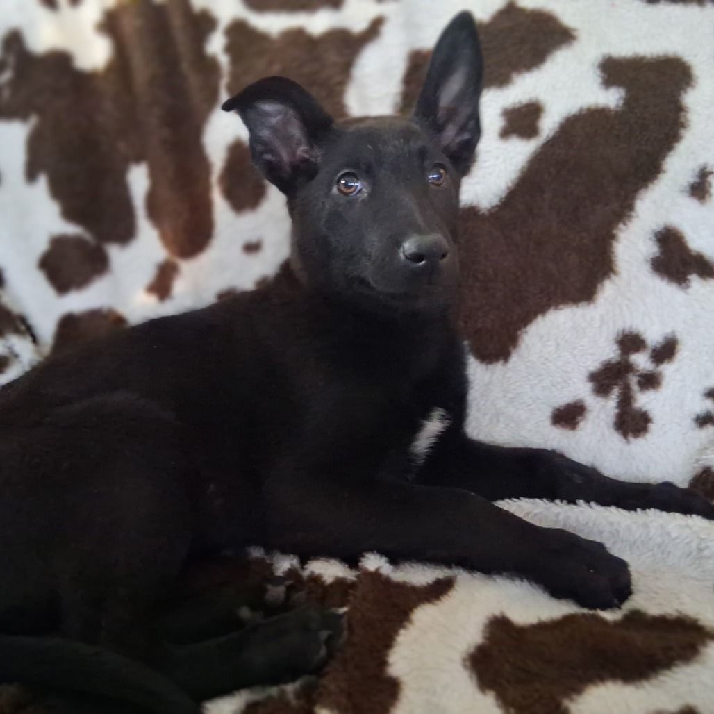 Hello my name is Mercy