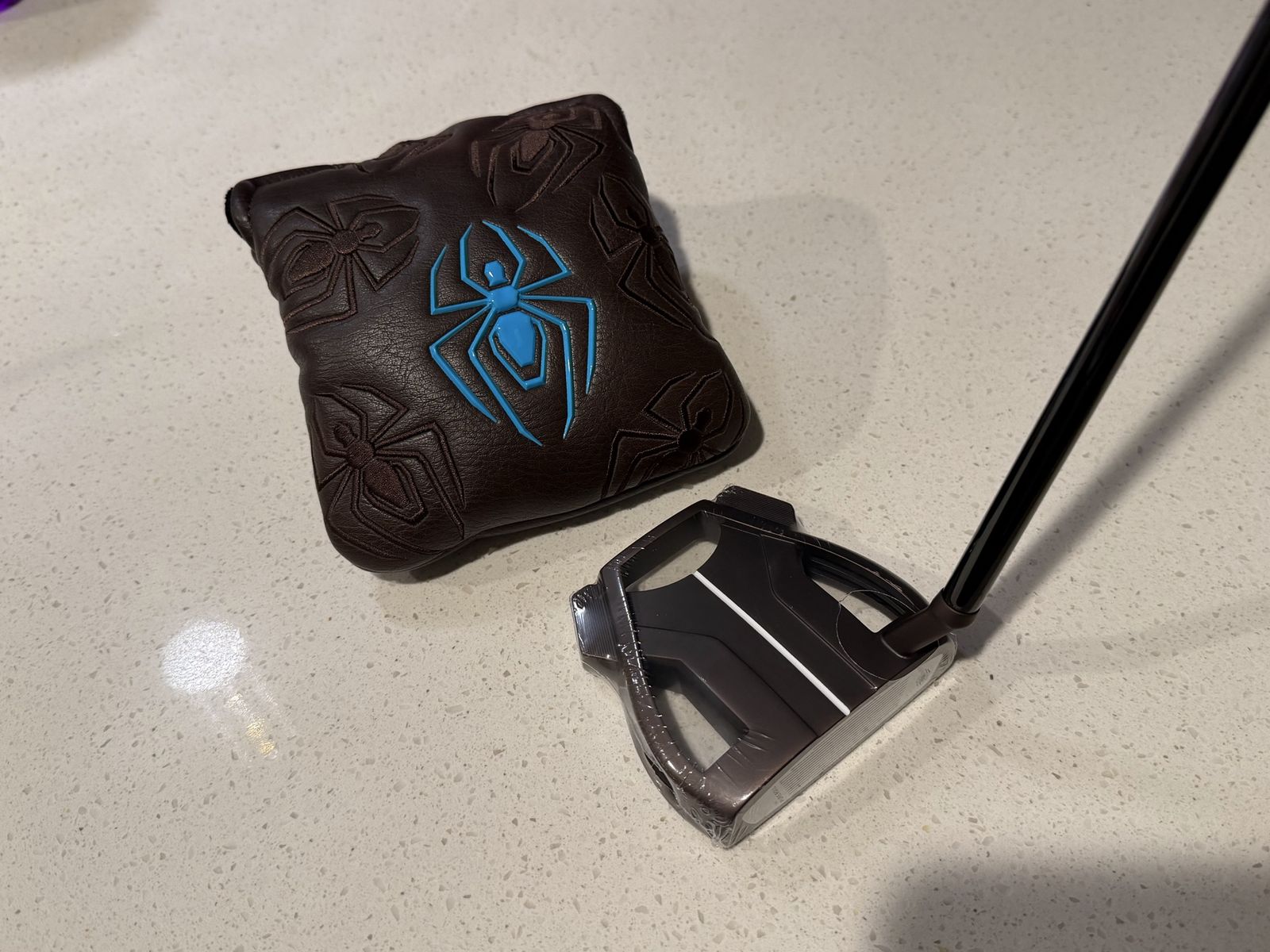 2026 Taylormade Spider Tour X, Small Slant,   Single Sight Line, 34in, Brand New
