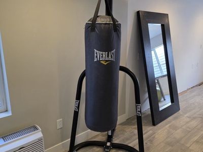 Everlast Punching Bag