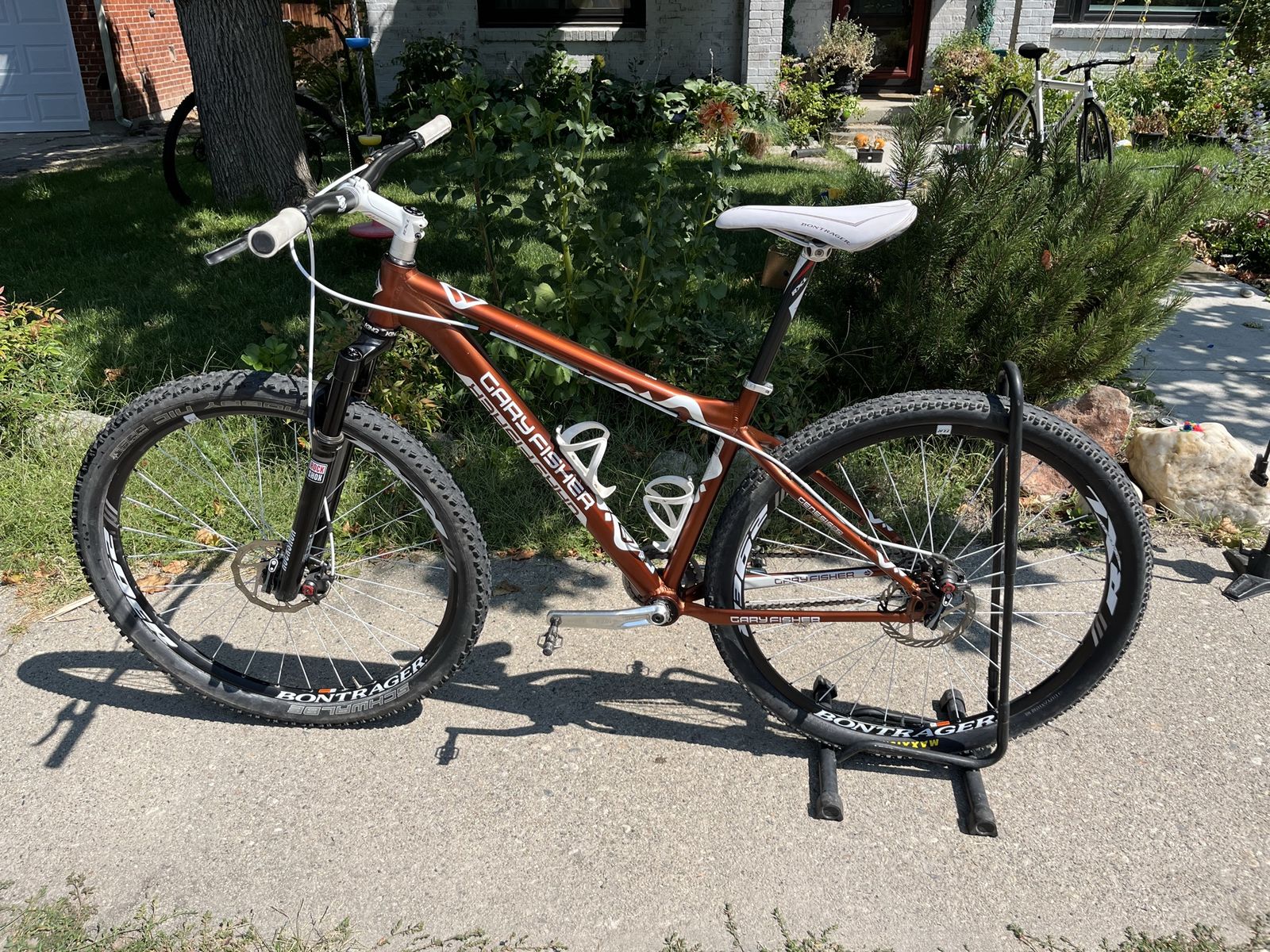 Gary Fisher Rig Single Speed - Rootbeer Color