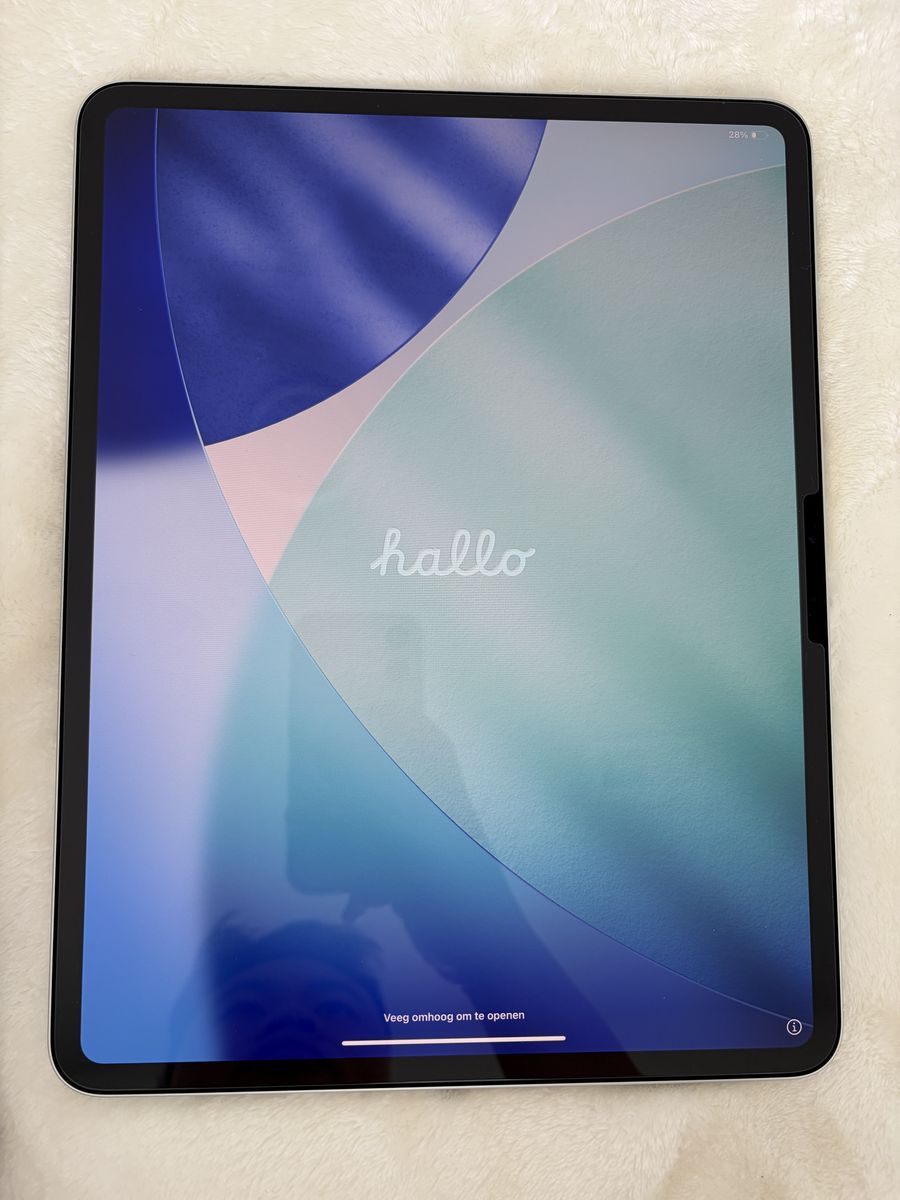 iPad Pro 13" M4 - Silver