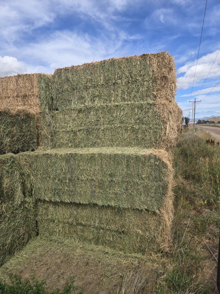 Large Square Bales 3x4 and 3x3