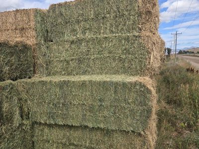 Large Square Bales 3x4 and 3x3