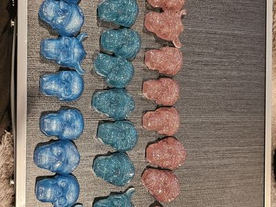Handcrafted Resin Skull and Candy Pieces Magnets