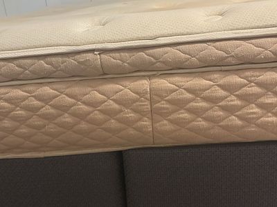 Free king mattress