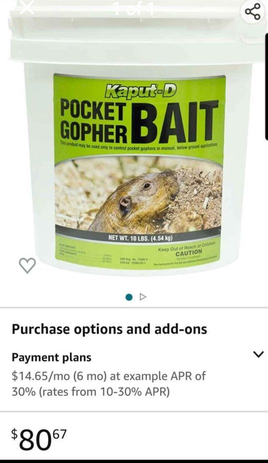 Kaput-D Pocket Gopher Bait 10 Lbs Bucket Pest Control