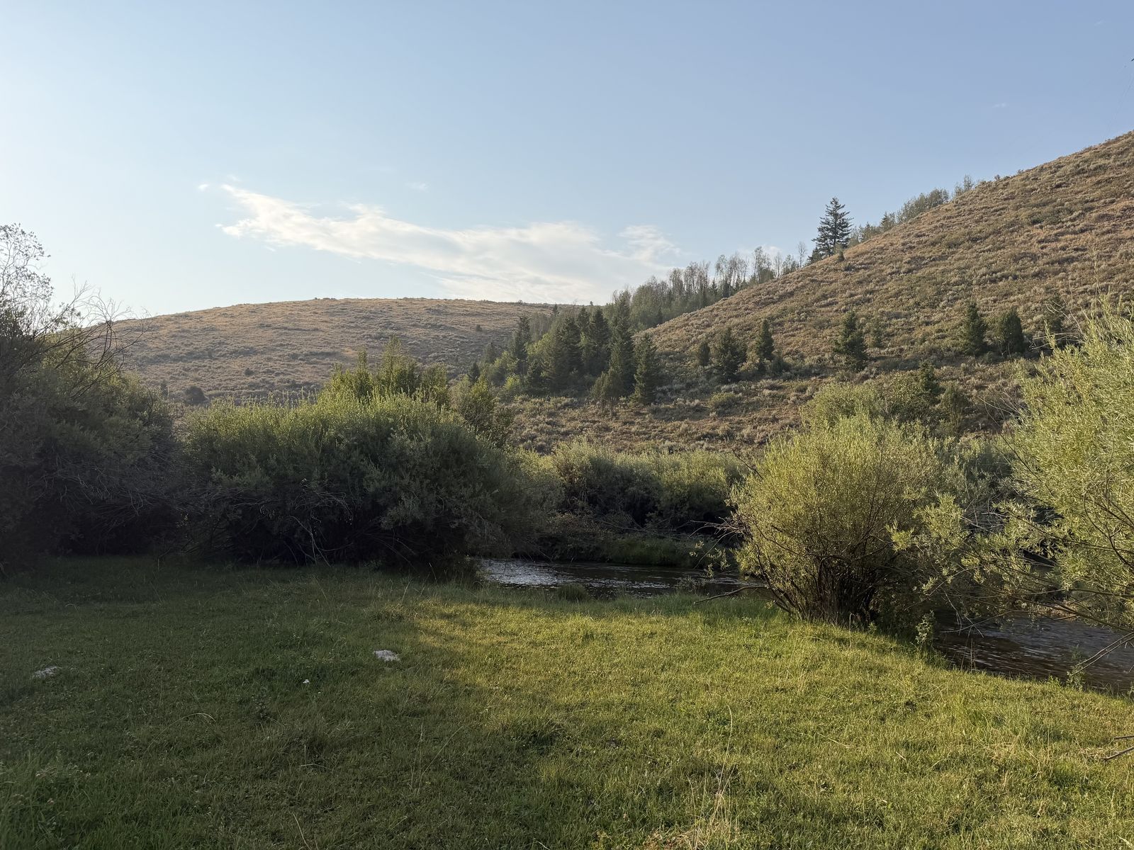 Main image 5