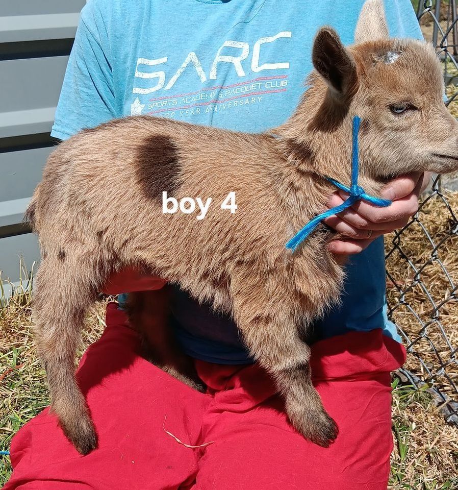 Main image 4
