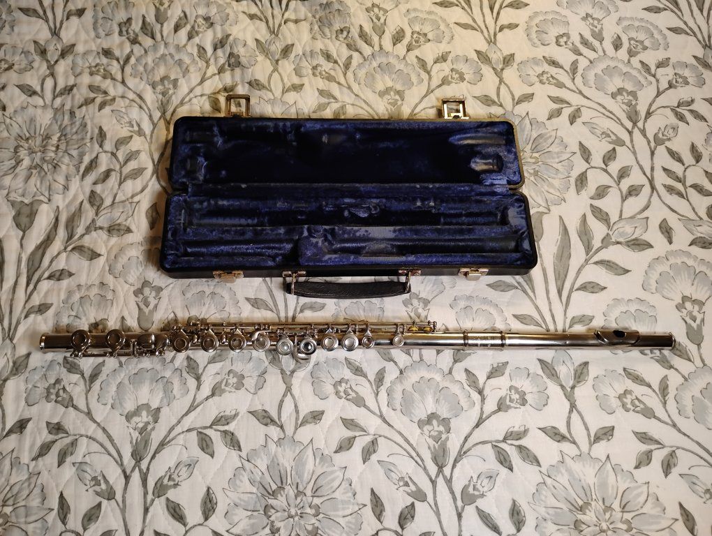 Nice Beginner Flute