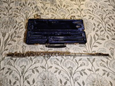 Nice Beginner Flute