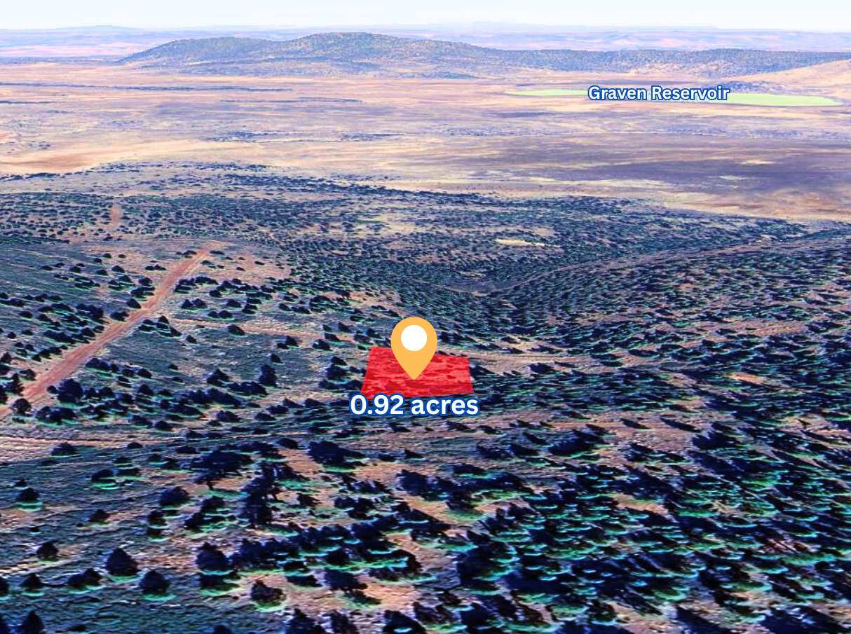 Main image 7