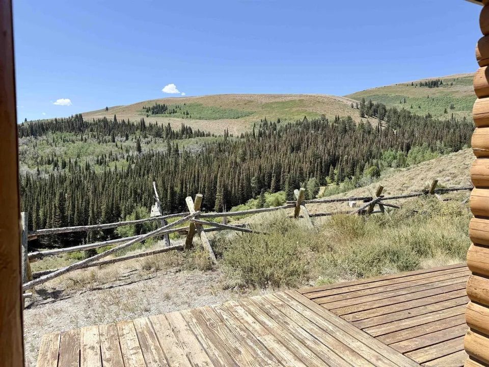 Main image 11