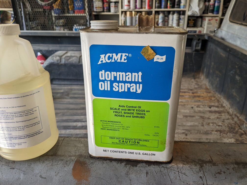 Dormant insect oil spray scale mites fruit trees