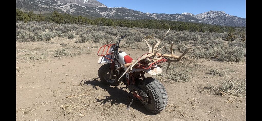 2 Big Wheel 200s For Trade