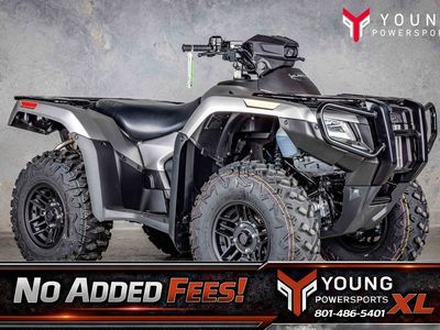 2026 Honda® FourTrax Rubicon 700 4x4 Automatic Matte Silver