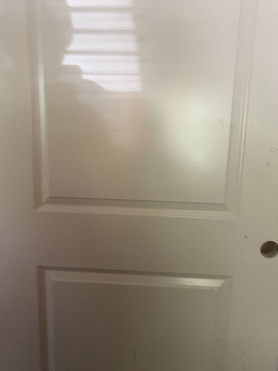 Indoor door white