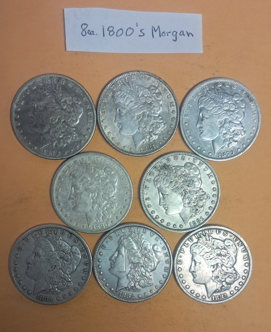 Main image 7