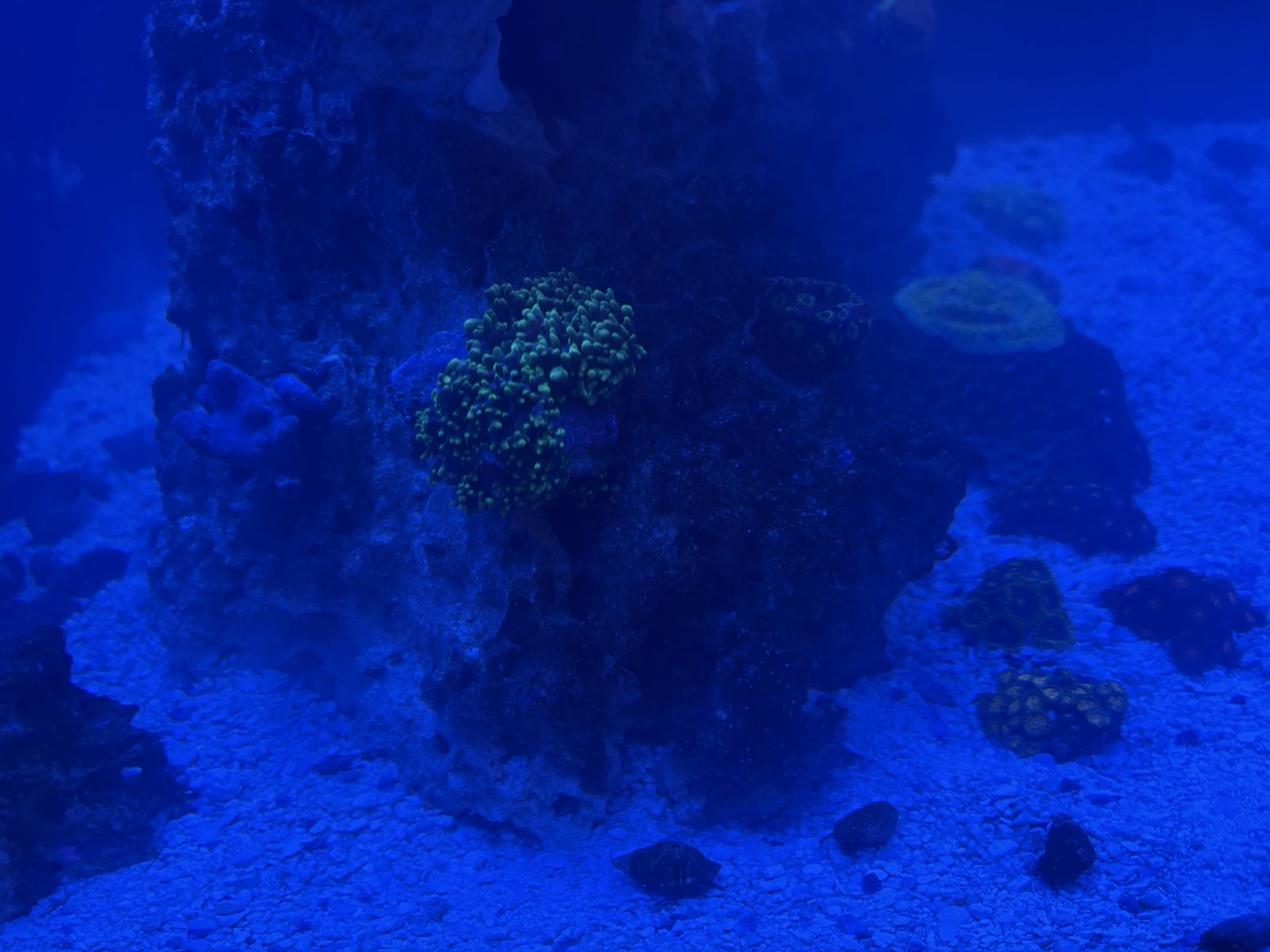 Main image 2