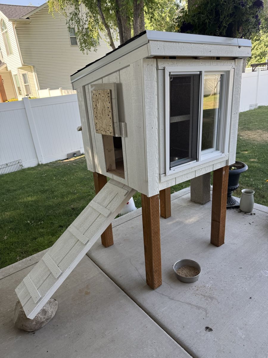 Tall Custom Chicken Coop