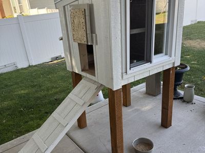 Tall Custom Chicken Coop