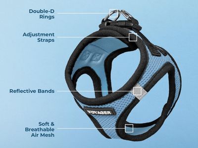 Voyager Step-in Air Dog Harness, Blue, All Weather Mesh, Reflective Bands, Double D-Rings