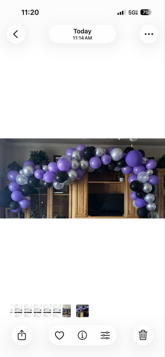 Balloon Arch