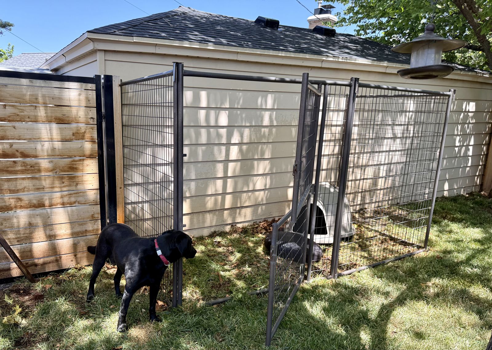 Dog kennel, house, and pad
