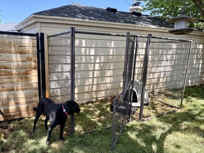 Dog kennel, house, and pad