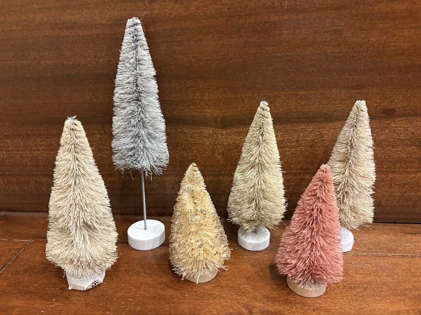 6 New Assorted Bristle Bottle Brush Trees