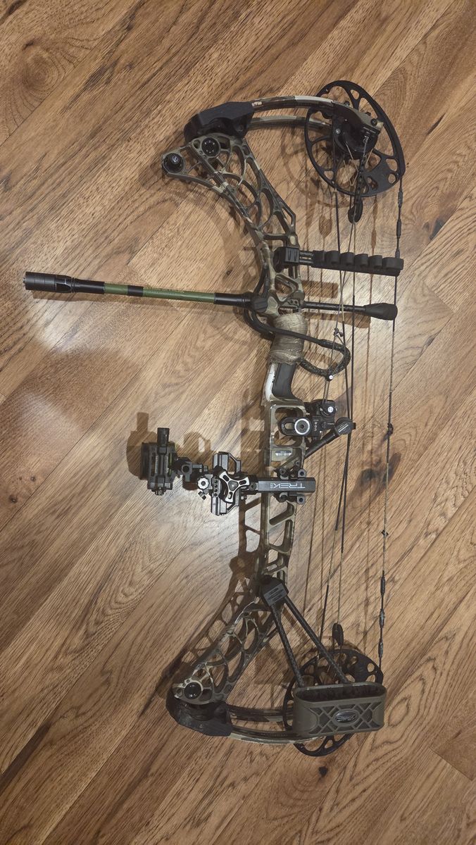 Mathews v3 31