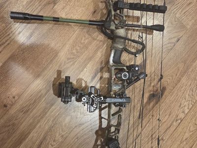 Mathews v3 31