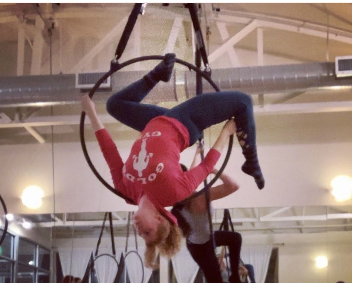34" Double Point Aerial Lyra Hoop with Swivel & 6ft Span Set