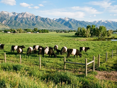 Let My Cattle Protect Your Greenbelt & Water Right