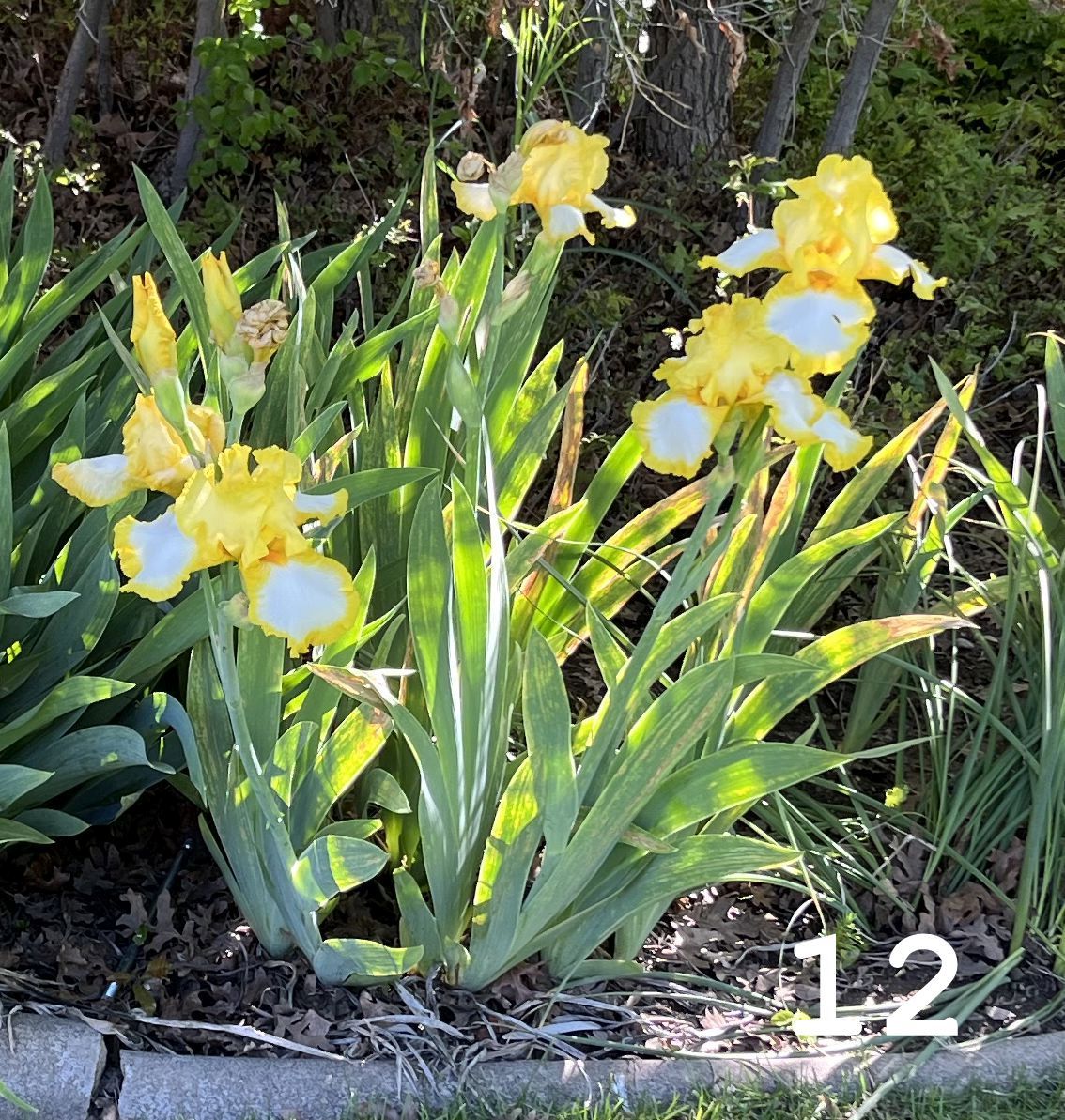 Main image 15
