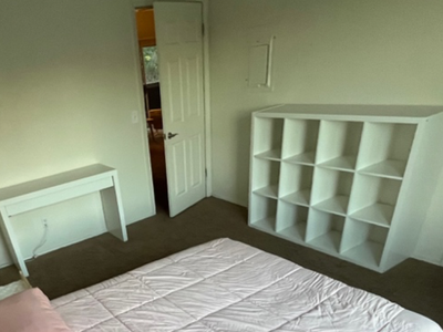 Storage shelves - ikea kallax