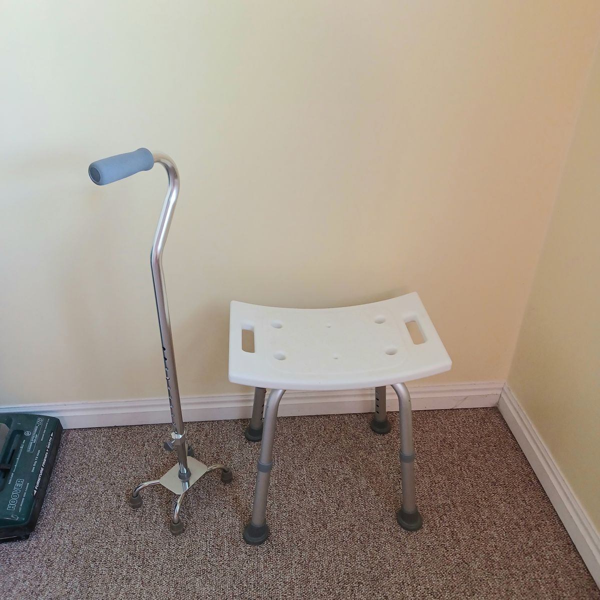 Shower chair and cane