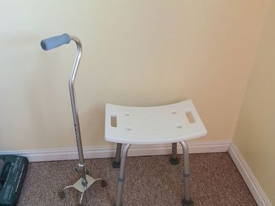 Shower chair and cane