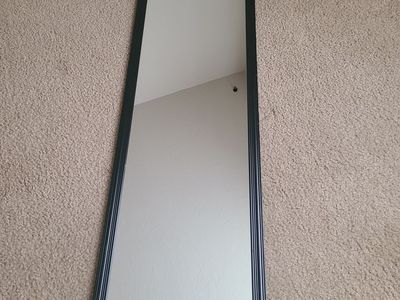 Mirror 49.5X13.5