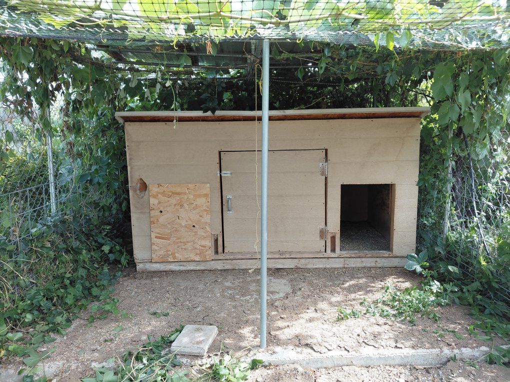 Large Chicken Coop and Shade Cover