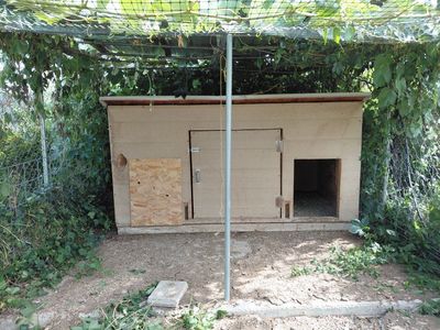 Large Chicken Coop and Shade Cover